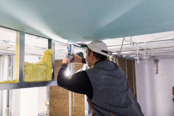 Best Insulation Air Sealing  in Bryan, OH